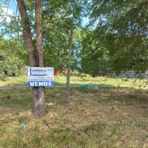 Lote + Proyecto Arquitectónico Completo en el barrio Lomas Altas de la ciudad de Chascomus